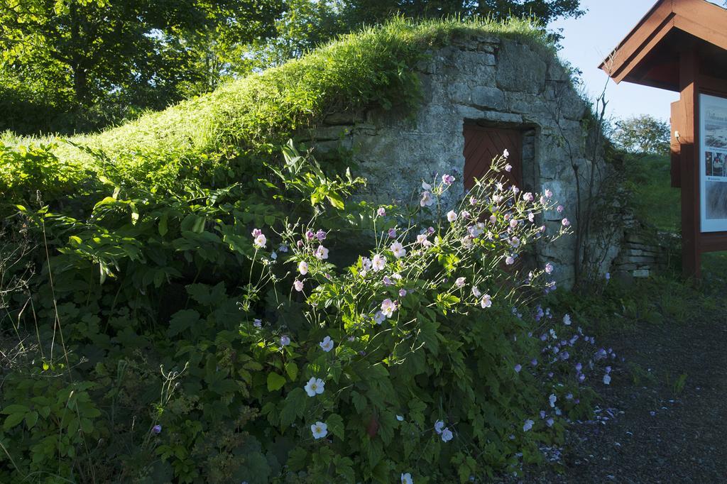 Loefwings B&B Broddetorp Dış mekan fotoğraf